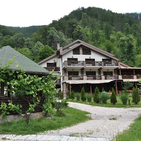 Pensiunea Valahia Brezoi Exterior foto